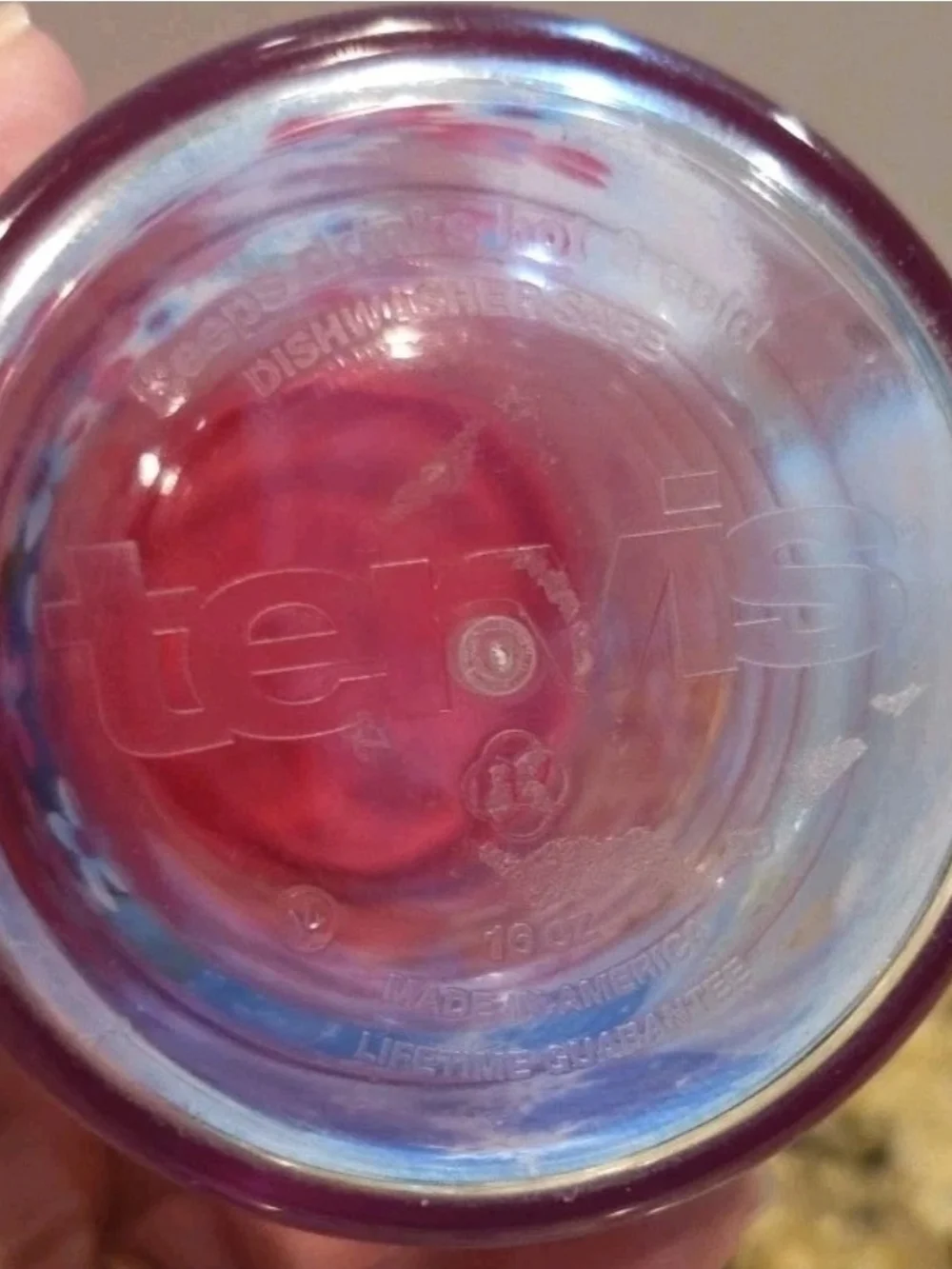 Tervis Disney Frozen Elsa & Anna 16 Oz Tumbler Cup with Pink Lid Hot or Cold